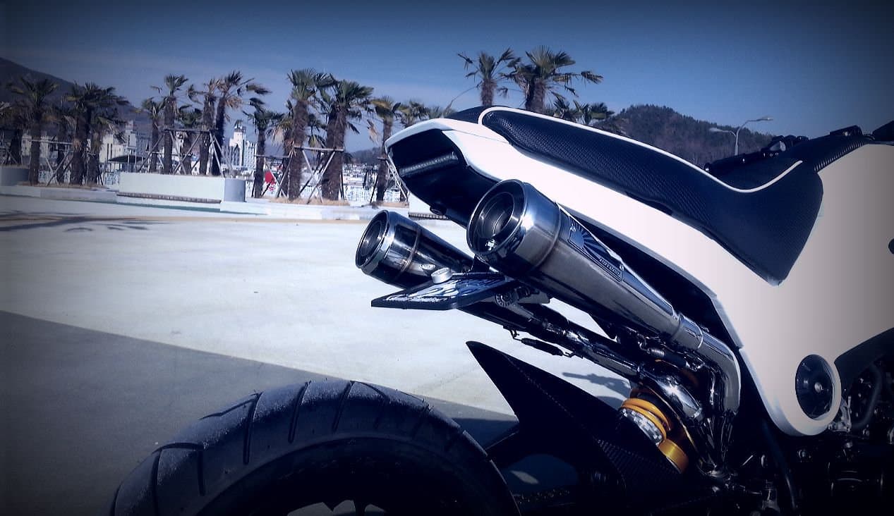 Dual Slip-On — Honda Grom Exhaust by Hotlap